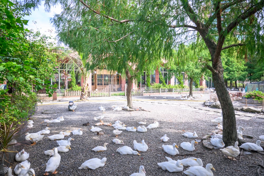 宜蘭博物館懶人包|6個必逛展館門票時間推薦 5 宜蘭鴨寮故事館