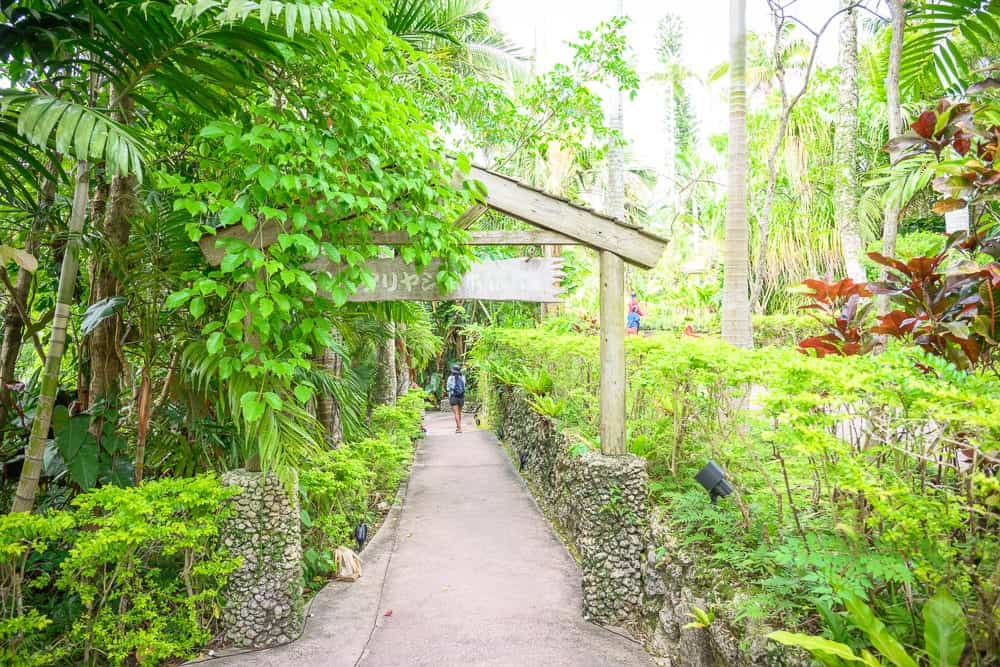 日本沖繩東南植物園