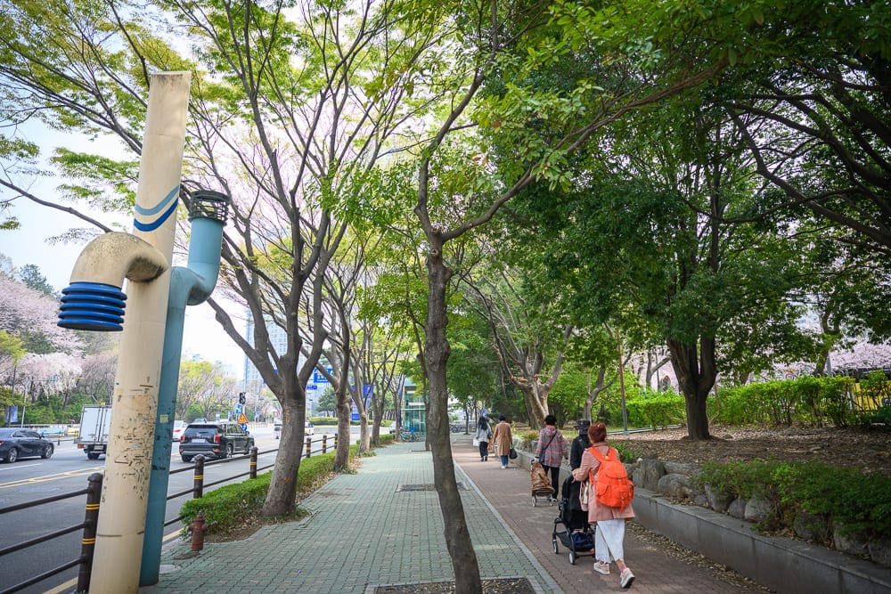 韓國釜山景點懶人包|7個必訪景點精選行程推薦 8 韓國釜山冬柏站櫻花