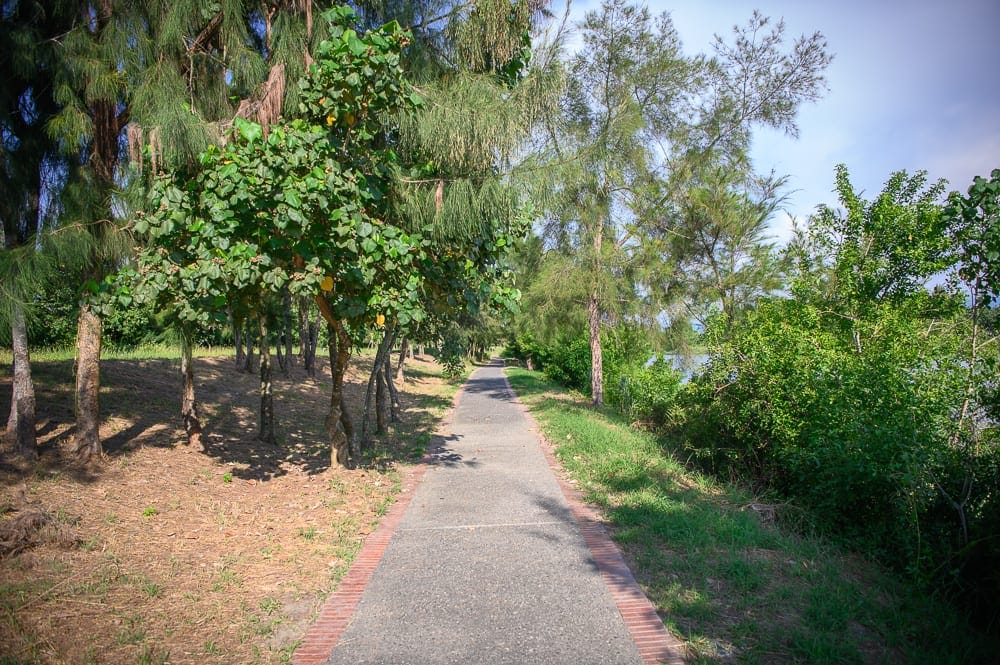 雲林景點懶人包|口湖海線風光、虎尾美食美人樹精選行程推薦 3 雲林口湖遊客中心-宜梧滯洪池 細節