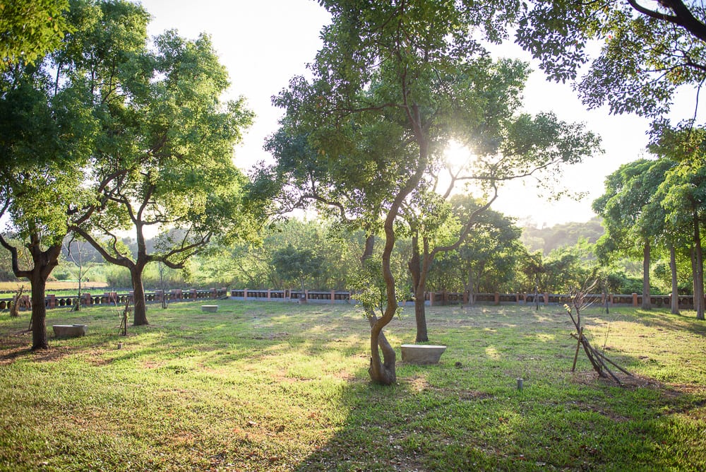 苗栗廟宇景點懶人包|12座必訪廟宇求籤指南 8 苗栗福堂餅行