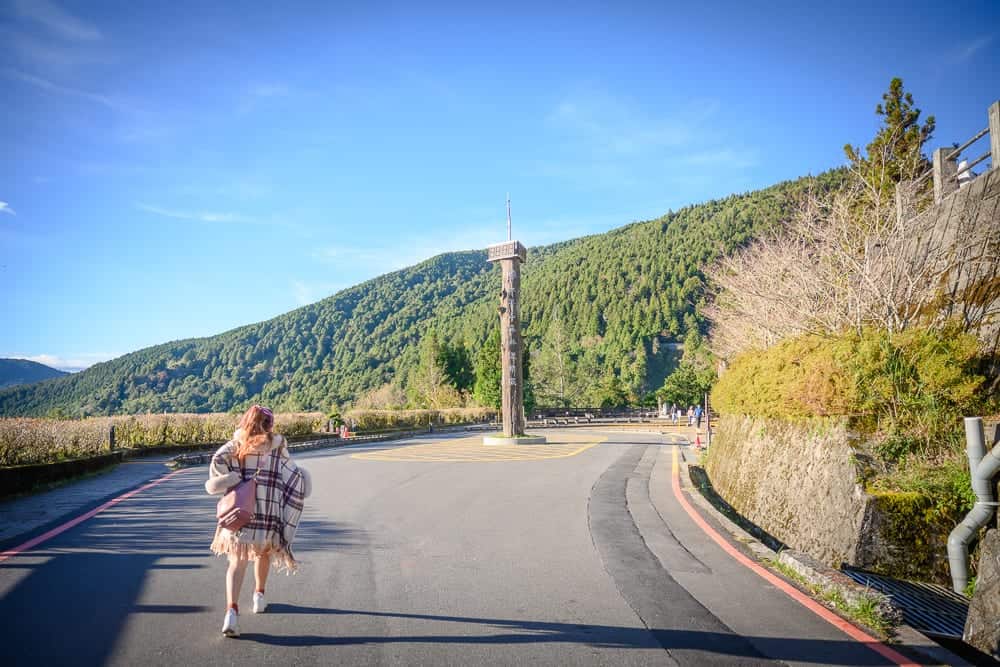 宜蘭雲海咖啡廳 夏季 IG 打卡