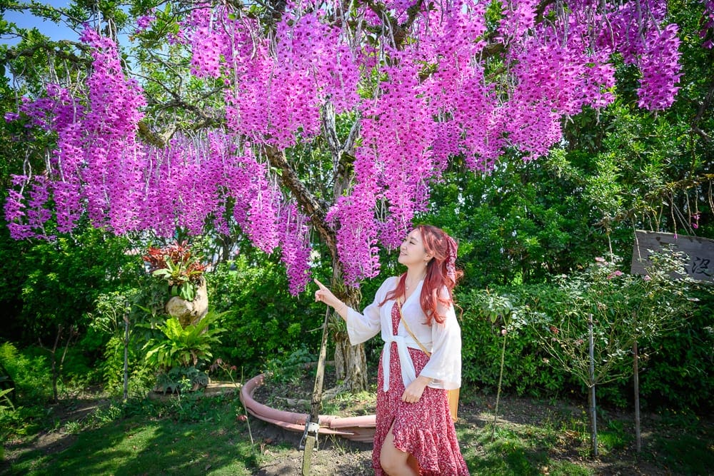 台中萌芳花卉農場