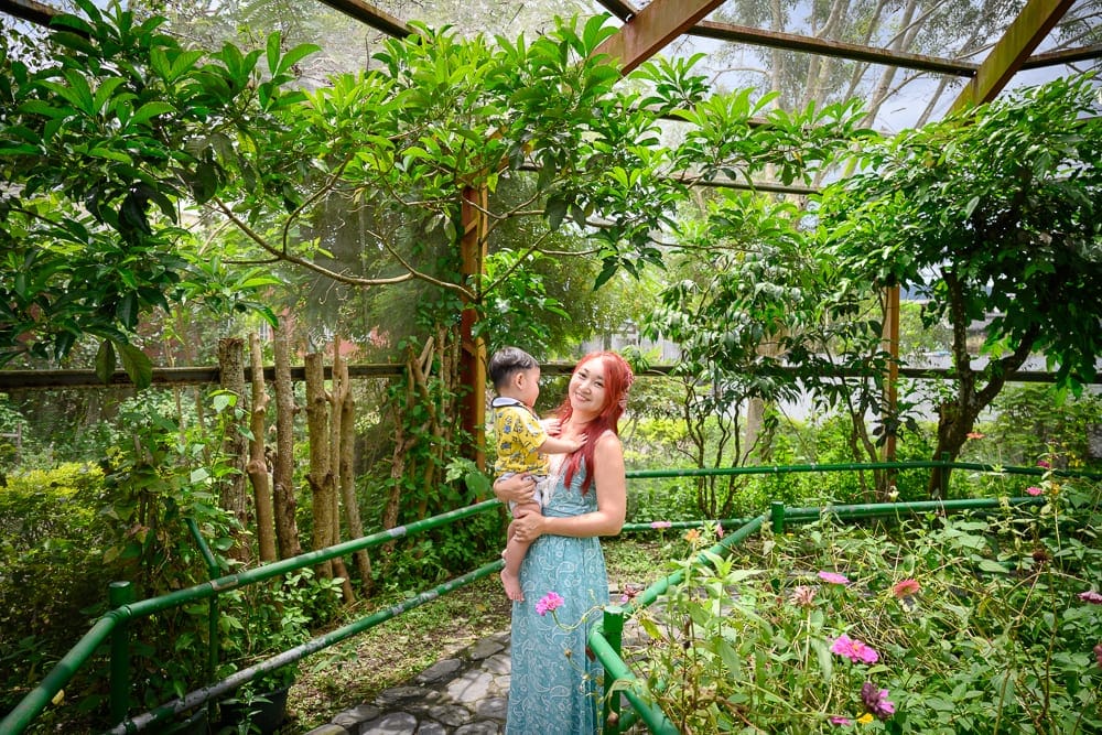 南投木生昆蟲博物館