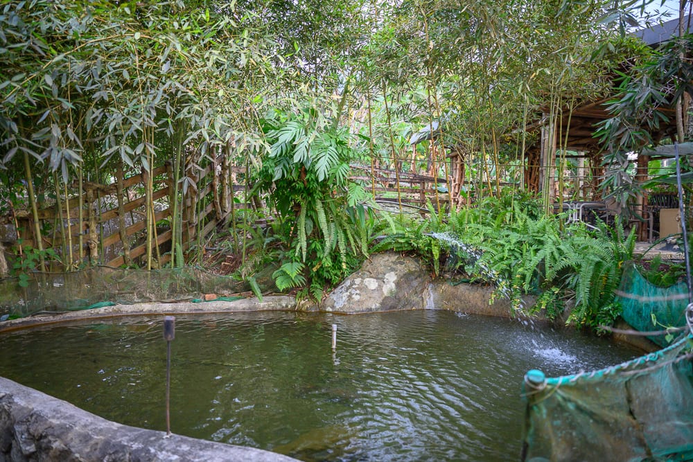 雲林石墩庭園咖啡
