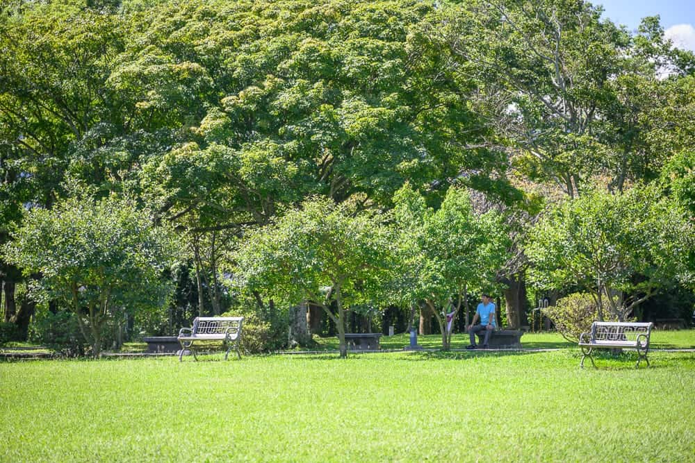 桃園石門大草坪