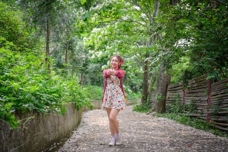 苗栗西湖渡假村油桐花｜白色桐花飄落滿地