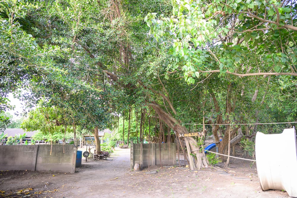 彰化博物館懶人包|5個必逛展館門票時間推薦 4 彰化姥姥不老茶文創園區