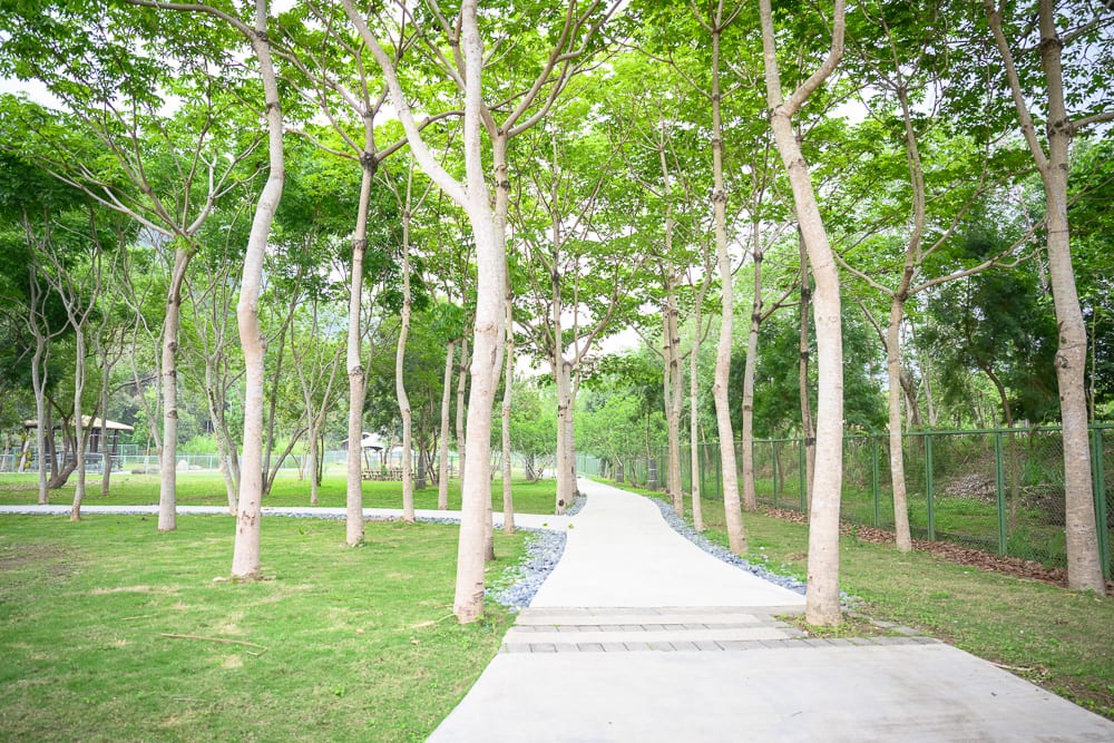 嘉義博物館懶人包|9個必逛展館門票時間推薦 7 嘉義逐鹿傳說梅花鹿園區