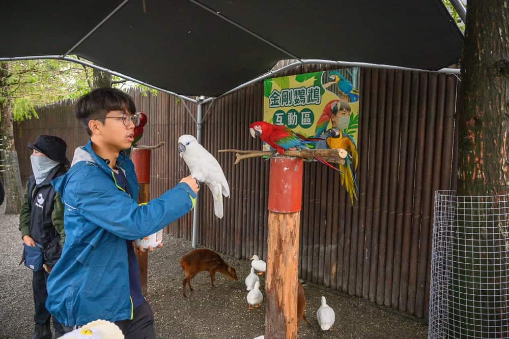宜蘭採果農場懶人包|11個季節限定體驗 6 宜蘭張美阿嬤農場