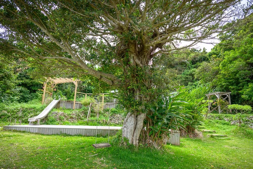 日本沖繩綱屋食堂縣產鮪魚專門店 細節