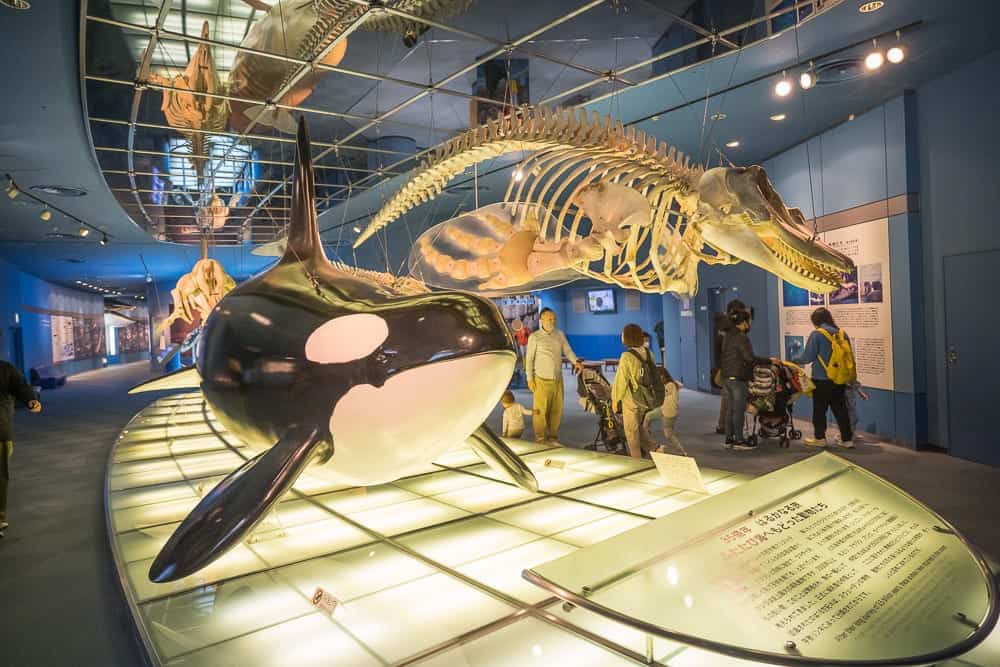名古屋名古屋水族館