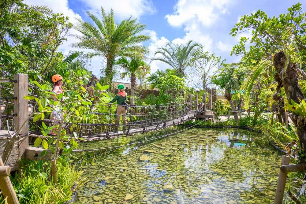 沖繩名護JUNGLIA｜繩橋、池塘、綠色植物、棕櫚樹、藍天白雲。兩名戴安全帽的兒童在橋上，橋下水池中有魚。
