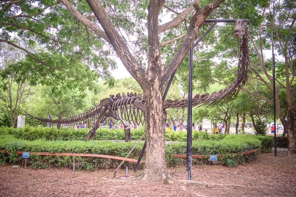 台南樹谷生活科學館