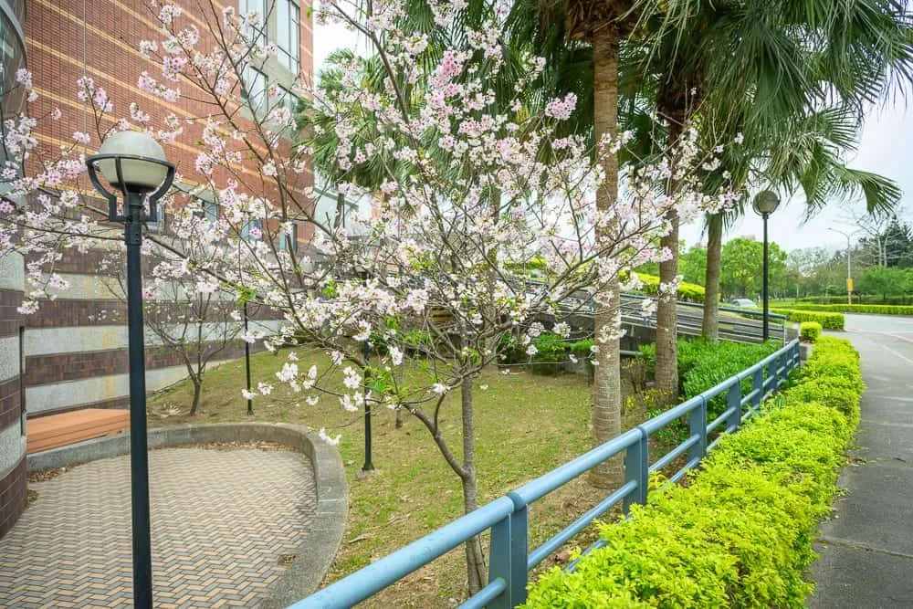 桃園渴望會館