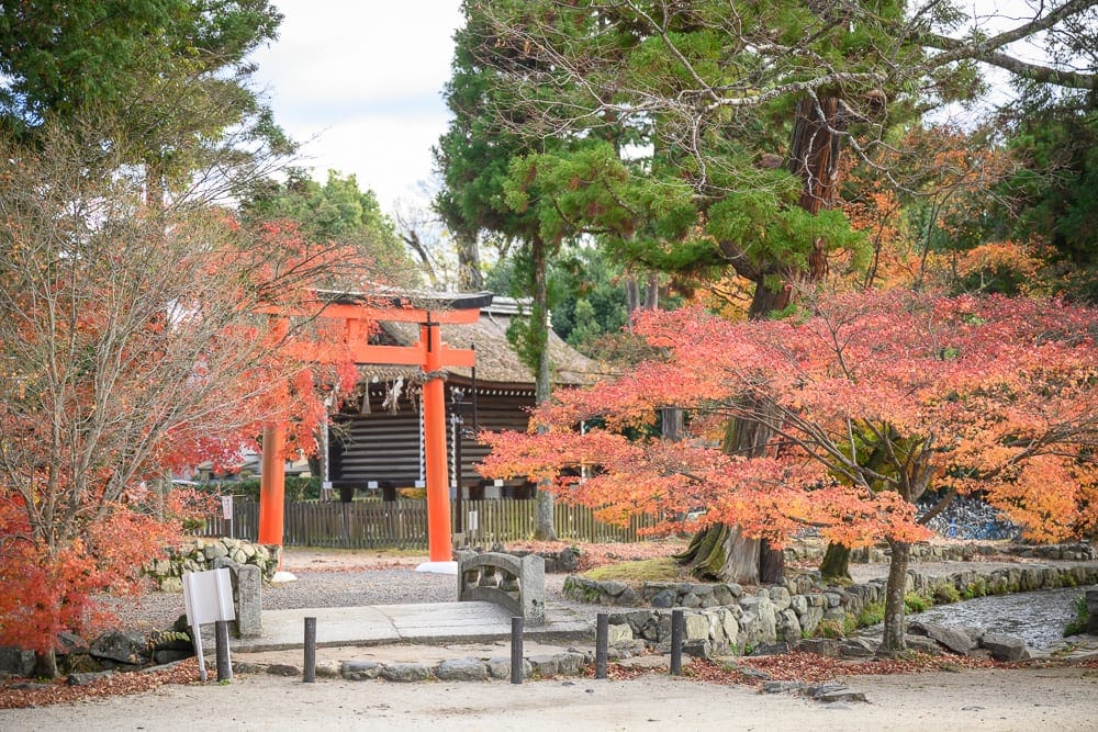 日本京都廟宇景點懶人包|5座必訪廟宇求籤指南 6 日本京都上賀茂神社