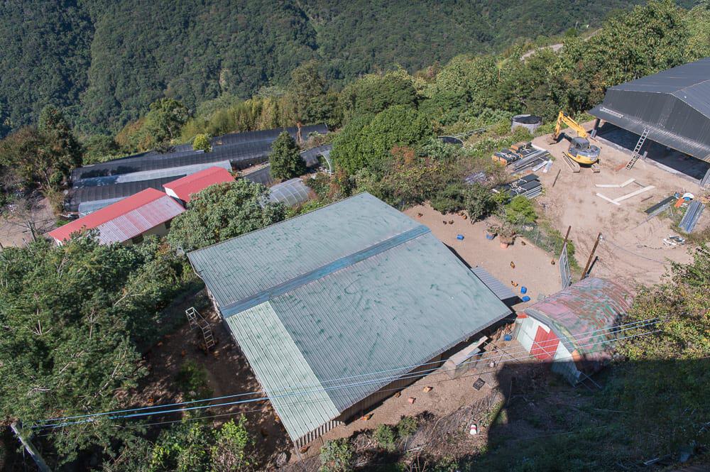 2026南投景點懶人包|清境埔里12個必訪景點,民宿美食一日遊行程推薦 4 南投信翰茶業
