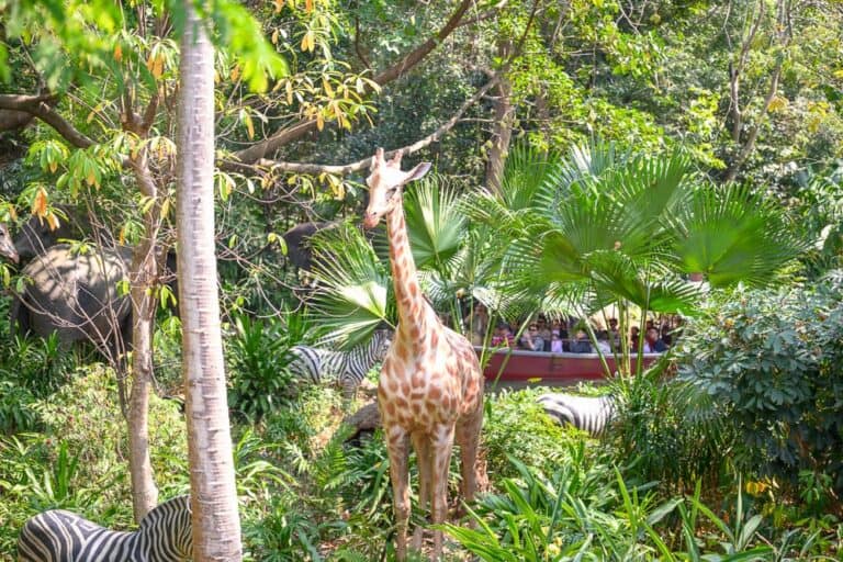 香港迪士尼樂園｜一隻長頸鹿站在叢林中，背景有斑馬、大象和一艘載滿遊客的船，場景為動物園或野生動物園。
