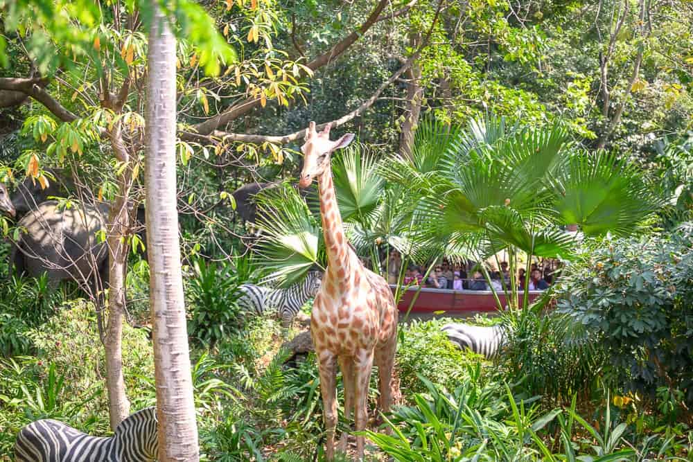 香港迪士尼樂園｜一隻長頸鹿站在叢林中，背景有斑馬、大象和一艘載滿遊客的船，場景為動物園或野生動物園。