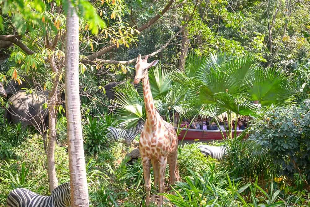 香港迪士尼樂園｜一隻長頸鹿站在叢林中，背景有斑馬、大象和一艘載滿遊客的船，場景為動物園或野生動物園。