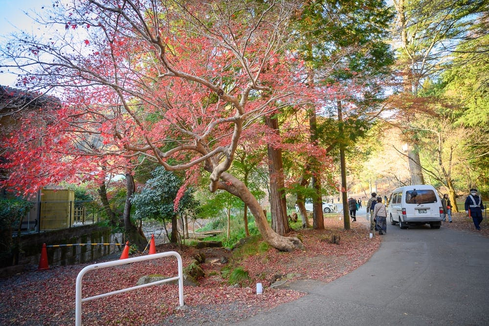 日本京都景點懶人包|6個必訪景點精選行程推薦 9 日本京都琉璃光院