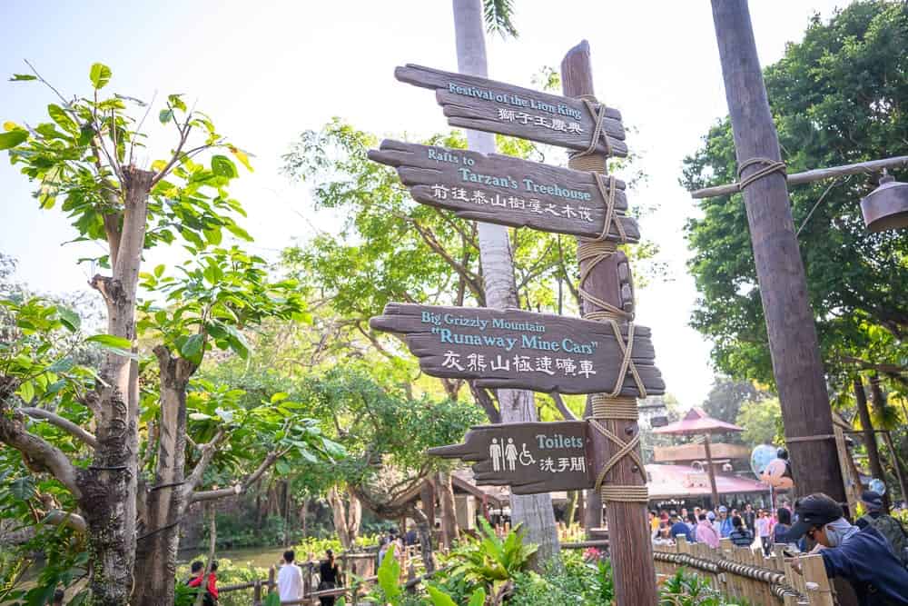 香港迪士尼樂園 泰山樹屋