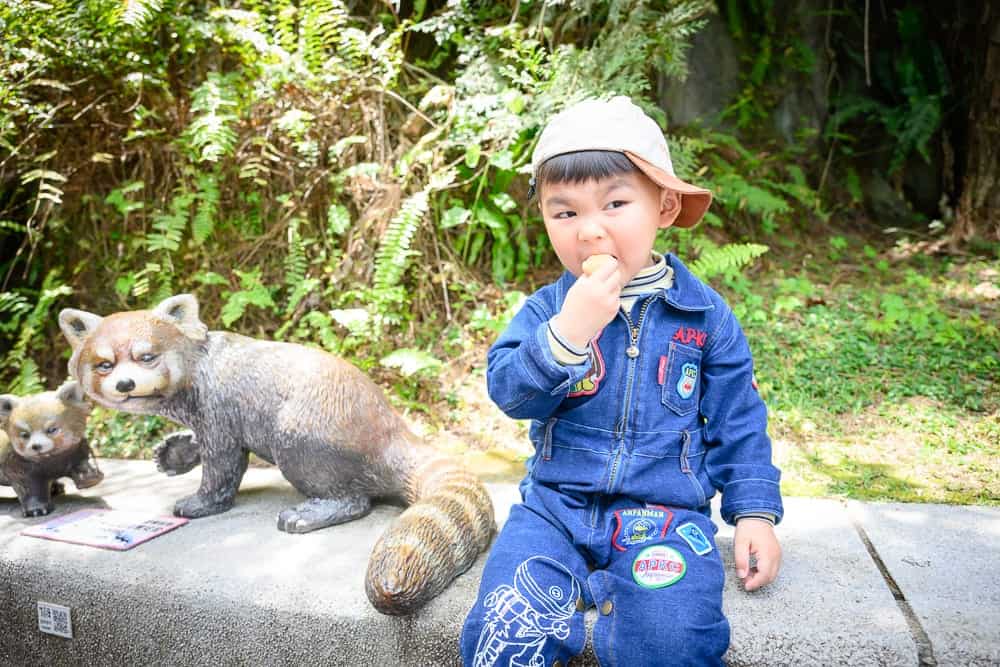 台北木柵動物園-貓空-龍門客棧