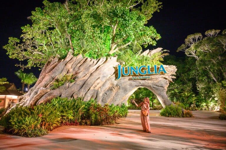 沖繩名護JUNGLIA｜樹、叢林、建築、道路、夜晚、標誌、綠植、人。