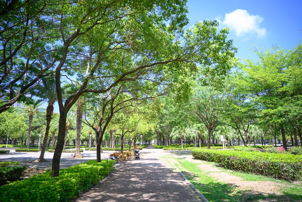 高雄公園景點懶人包|11個親子免費景點推薦 5 高雄凹子底森林公園