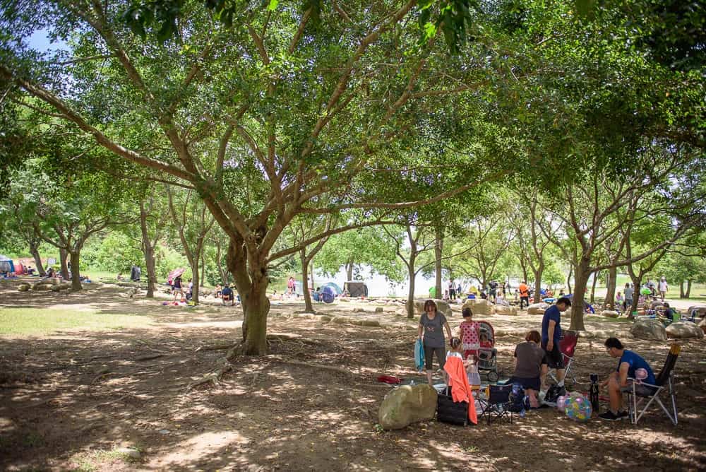 桃園三坑自然公園