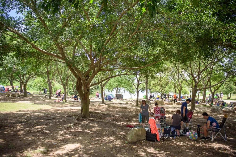 桃園公園景點懶人包|大有梯田、虎頭山、河濱公園親子行程推薦 10 桃園三坑自然公園