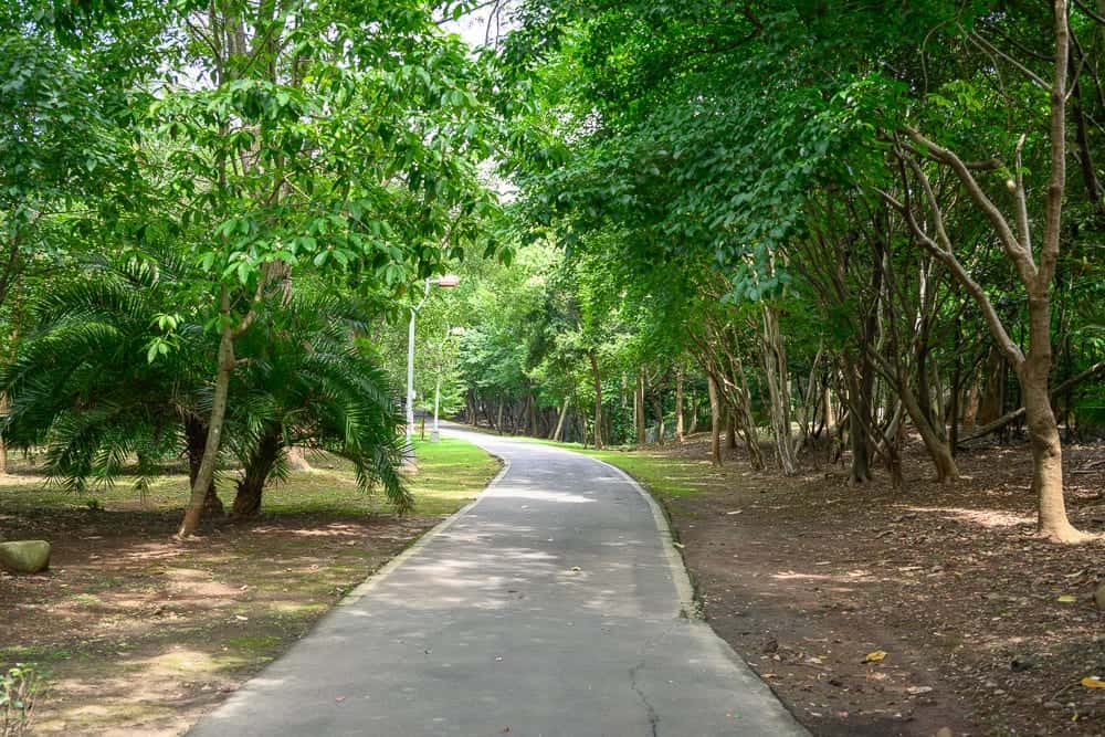 新北林口樂活公園