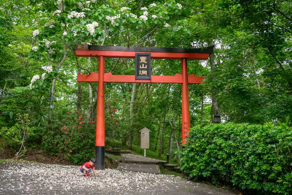 苗栗西湖渡假村油桐花螢火蟲｜紅色鳥居、黑匾、石階、樹叢、白色花瓣、兒童、石板路、綠樹叢、紅色花朵。