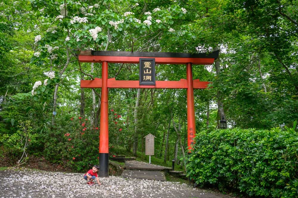 苗栗西湖渡假村油桐花螢火蟲｜紅色鳥居、黑匾、森林、樹、白色花、紅色花、石階、木牌、綠叢、孩童、地面碎石。