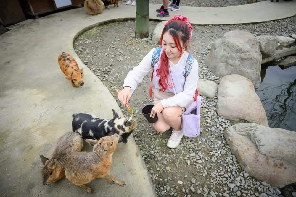 宜蘭蘭陽動植物王國 從宜蘭市區怎麼去、停車與周邊