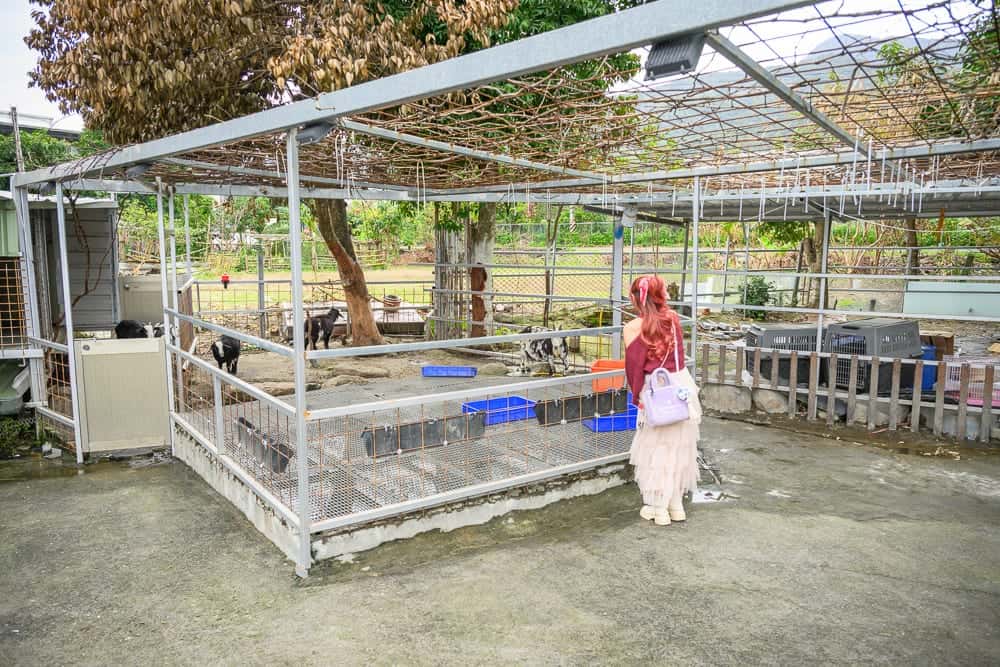 宜蘭皇家花園餐廳