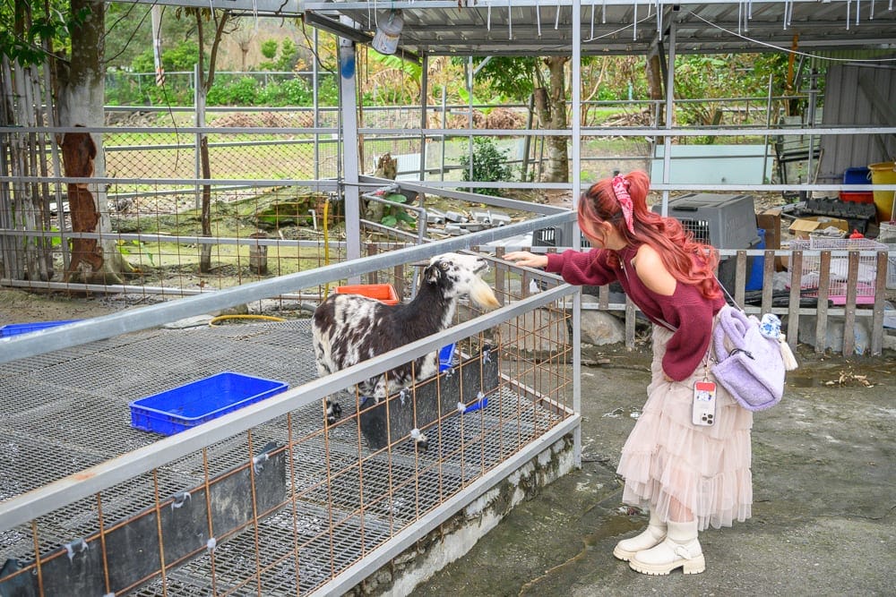 宜蘭皇家花園餐廳 細節