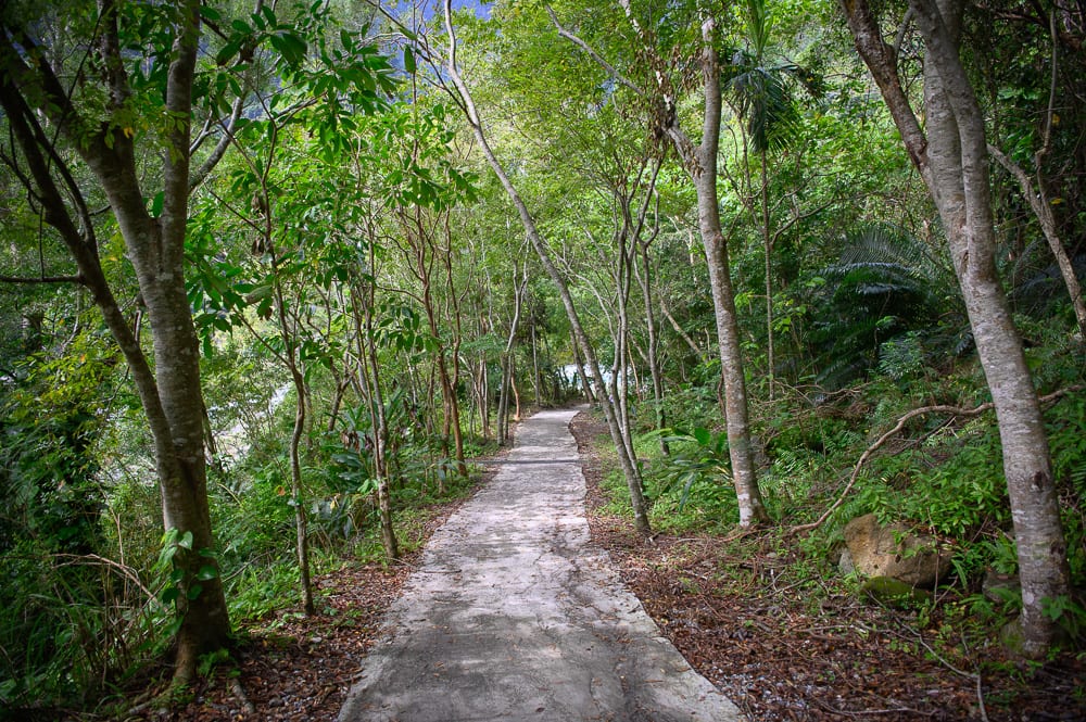花蓮 砂卡礑步道 首圖