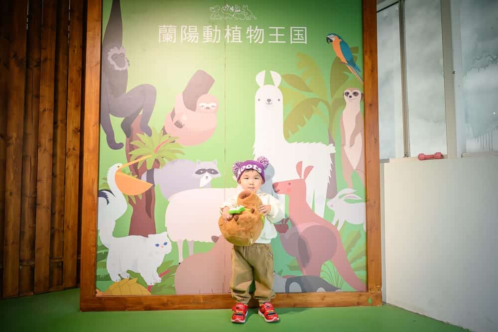 宜蘭蘭陽動植物王國｜綠色地板，木框綠色動物壁畫，白色牆壁，木板牆，兒童，泰迪熊，動物壁畫，貓、樹、鳥、浣熊、羊、袋鼠、樹