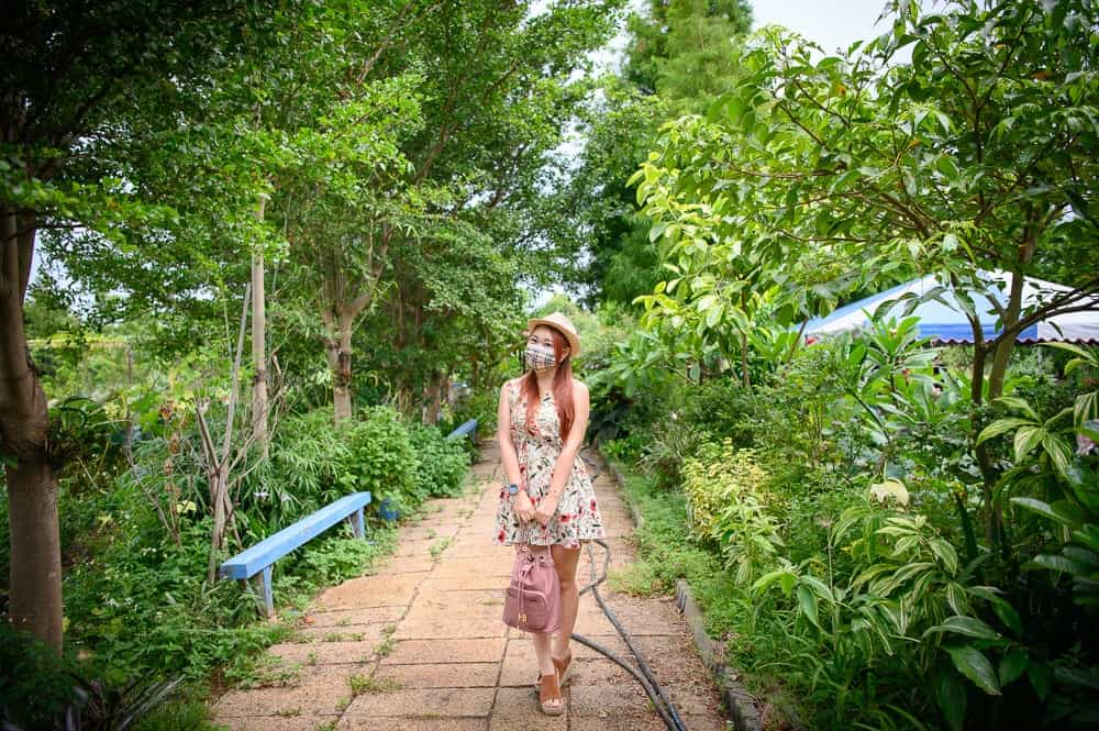 桃園水蓮之鄉園區