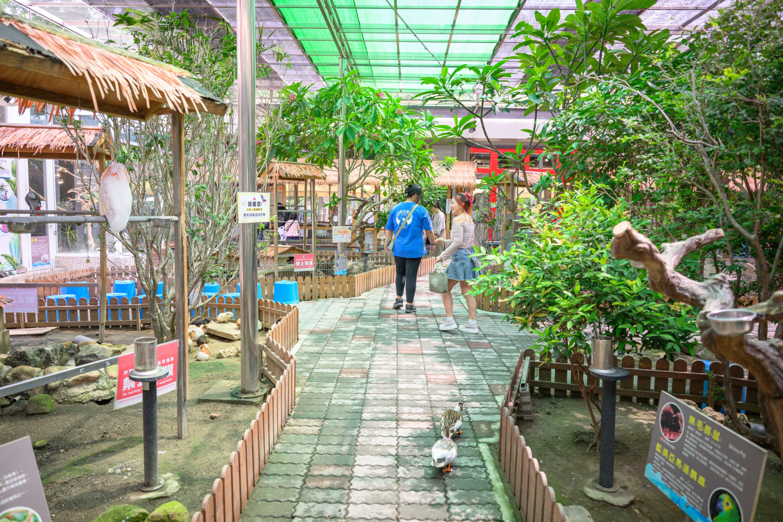 高雄【天使&惡魔寵物互動園區】萌寵近距離互動體驗,旁邊就是大立樂園 5 天使&惡魔寵物互動園區 - 主要體驗區 + 推薦亮點
