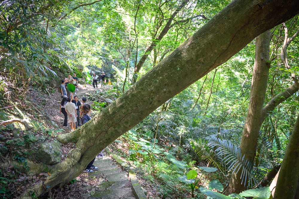 苗栗廟宇景點懶人包|12座必訪廟宇求籤指南 3 苗栗城隍廟