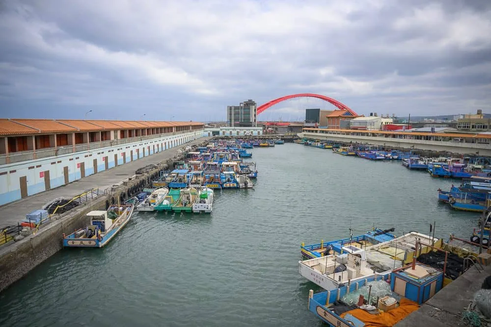桃園竹圍漁港 夏季海鮮限定
