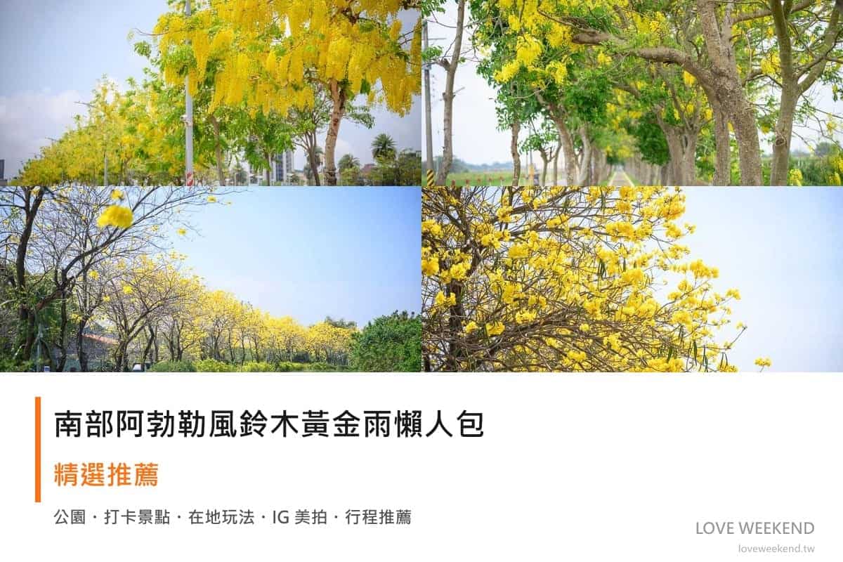 全台端午連假景點懶人包|北中南東親子玩法精選 5 南部阿勃勒風鈴木黃金雨懶人包