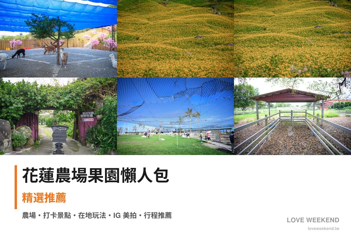 花蓮農場果園懶人包封面｜花蓮採果農場懶人包｜8個季節限定體驗