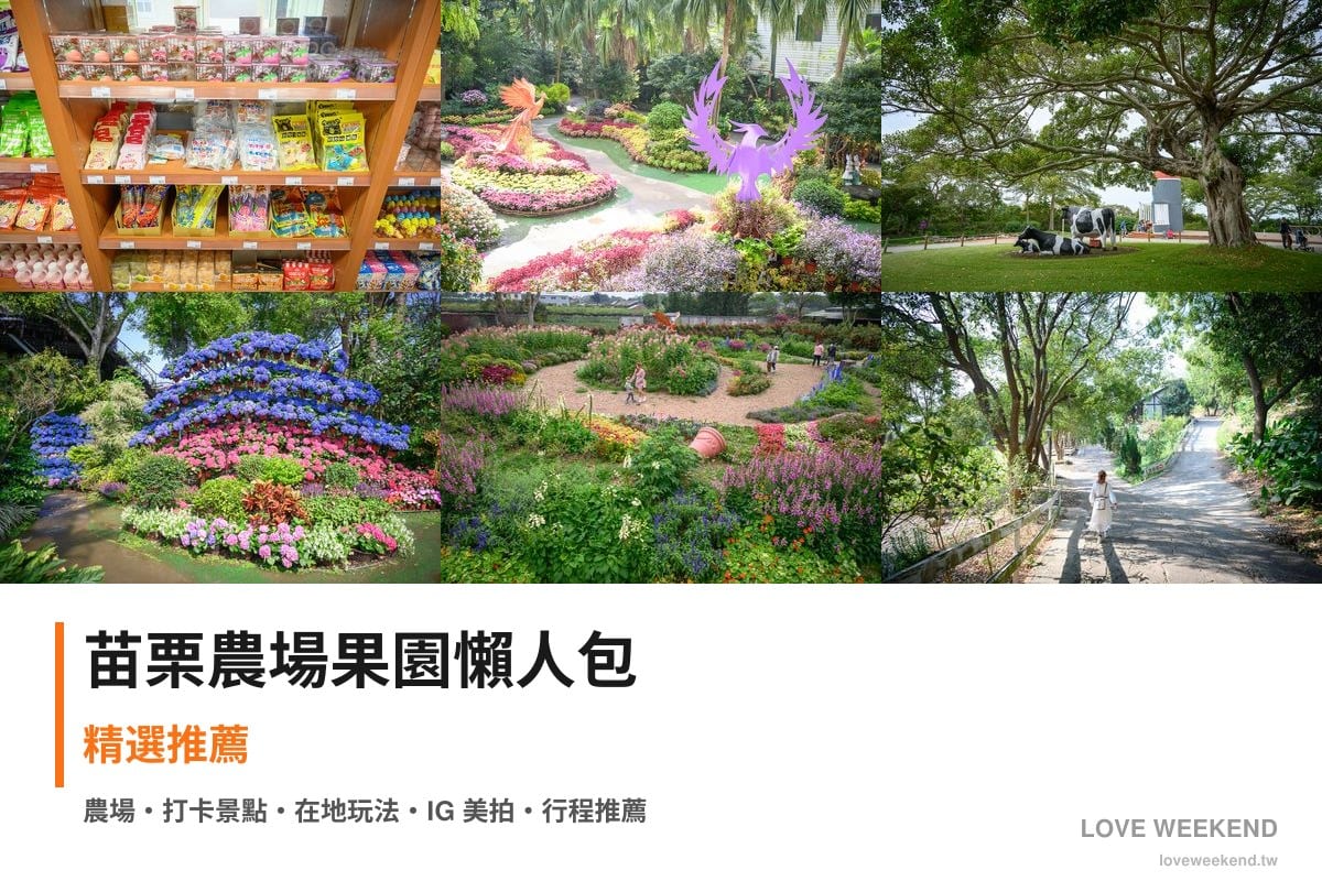 苗栗農場果園懶人包封面｜苗栗採果農場懶人包｜6個季節限定體驗
