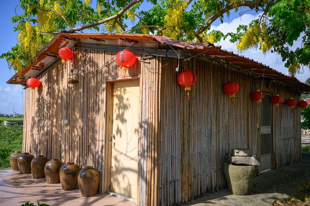 台南白河大山宮阿勃勒