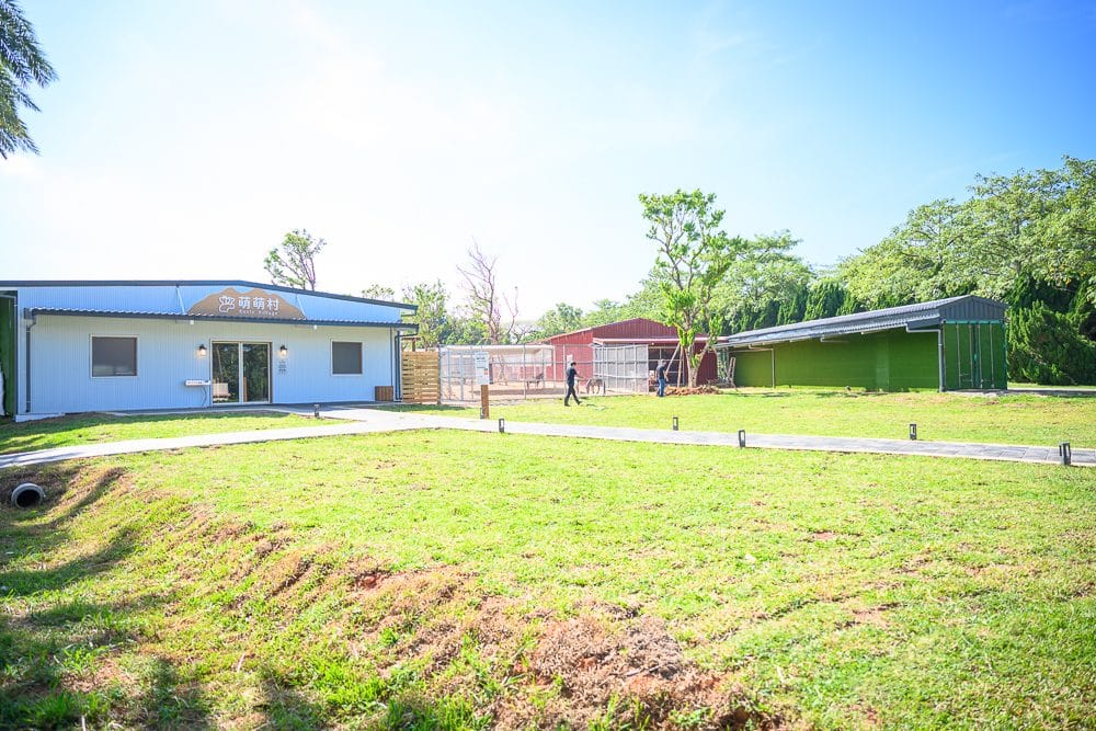 桃園採果農場懶人包|5個季節限定體驗 2 桃園埔心牧場萌萌村