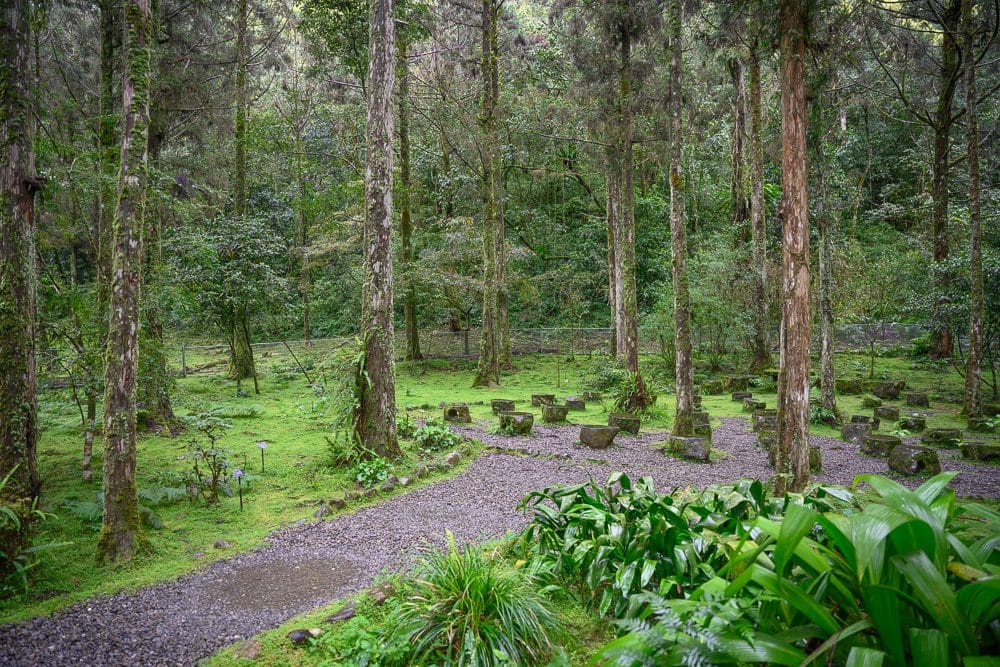 宜蘭 福山植物園