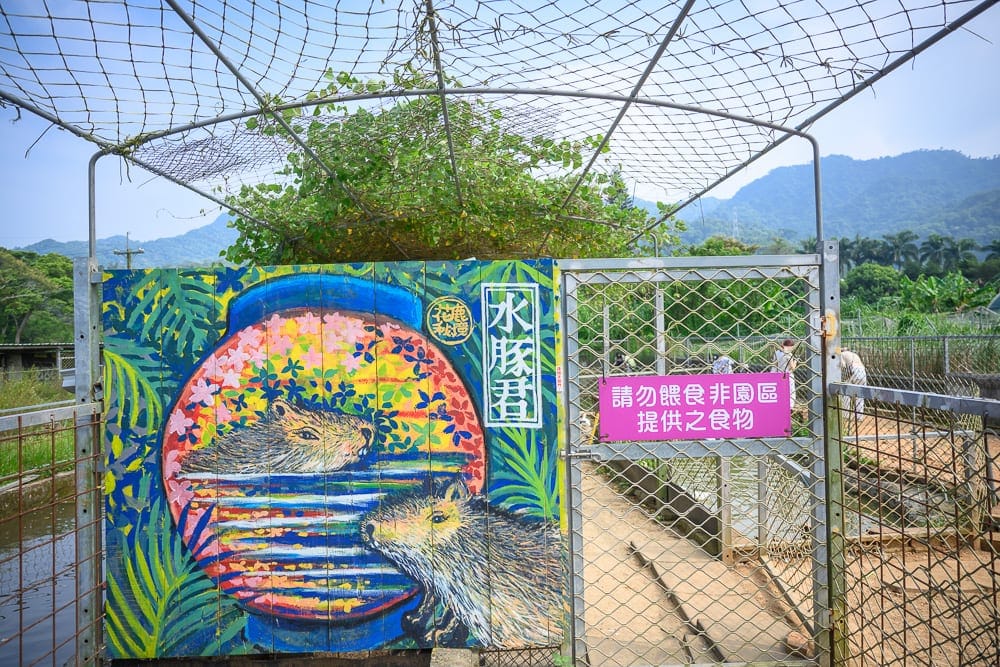 桃園花鹿秘境